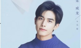 一个圈内爆料的宋威龙,圈内爆料揭示明星背后的故事